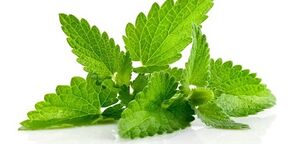 Use mint to increase potency