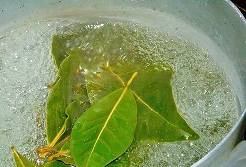Laurel leaf decoction for a relaxing bath for potency problems