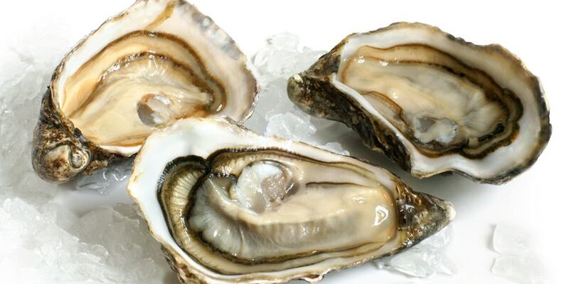 oysters increase vitality photo 2