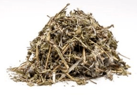 Ivan tea because of its potential